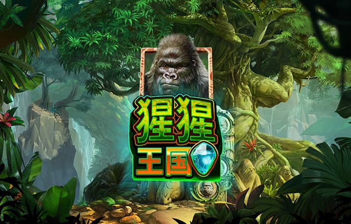 中欧体育网页登录入口